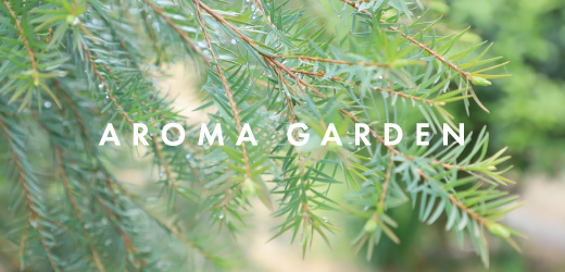 AROMA GARDEN