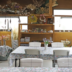 店舗情報